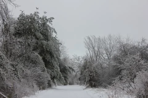 Winter Path Stock Photos