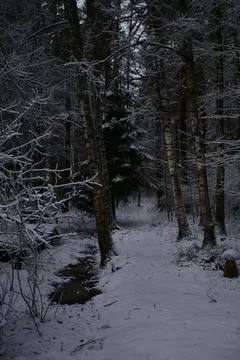 Winter path Stock Photos