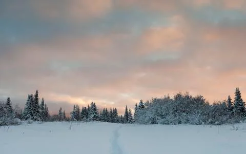 Winter path at sunset Stock Photos