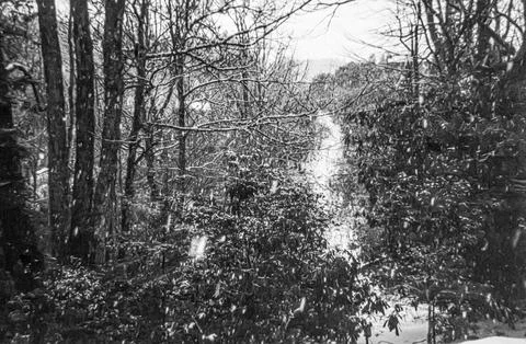 Winter Path Through the Forest Foto stock