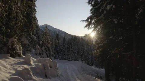 Winter paths in the snow1 Stock Footage 154794014