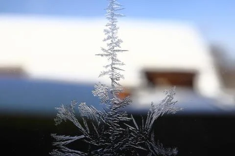 Winter pattern of ice crystals on glass Stock Photos
