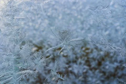Winter pattern of ice crystals on glass Stock Photos