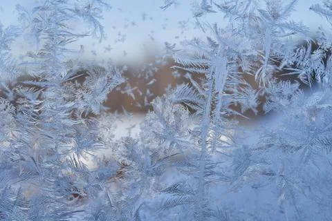 Winter pattern of ice crystals on glass Stock Photos