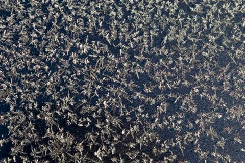 Winter pattern. White snowflakes. Grey colour. Stock Photos