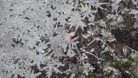 Winter patterns Christmas tales Vídeos de archivo 145178562