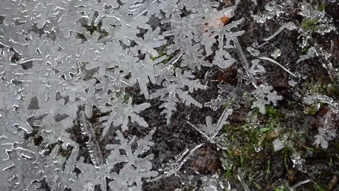 Winter patterns Christmas tales Vídeos de archivo 145178598