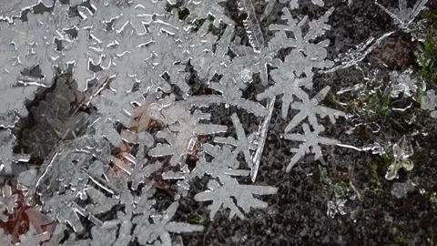 Winter patterns Christmas tales Vídeos de archivo 145178645