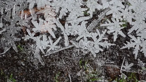 Winter patterns Christmas tales Vídeos de archivo 145178653