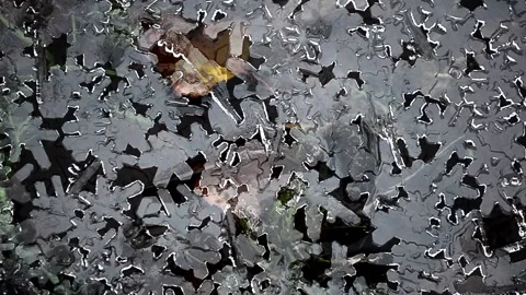 Winter patterns Christmas tales Vídeos de archivo 145178883