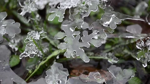 Winter patterns Christmas tales Vídeo Stock 145179614