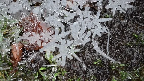 Winter patterns Christmas tales Vídeo Stock 145179636