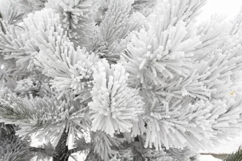 Winter patterns. Stock Photos