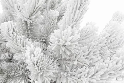 Winter patterns. Stock Photos