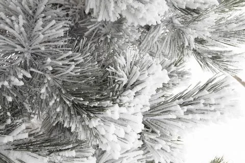 Winter patterns. Stock Photos