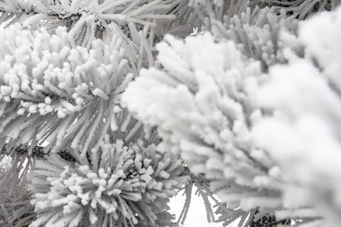 Winter patterns. Stock Photos