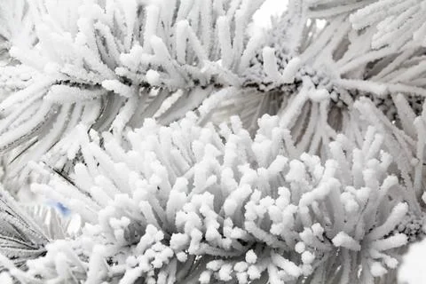 Winter patterns. Stock Photos