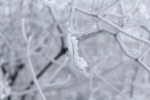 Winter patterns. Stock Photos