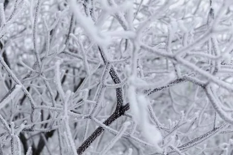 Winter patterns. Stock Photos