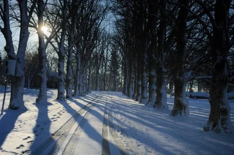 Winter of P.E.I. Stock Photos