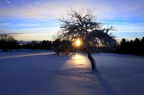 Winter of P.E.I. Stock Photos