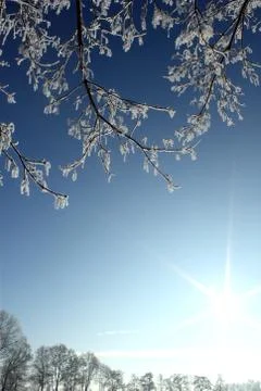 Winter Stock Photos