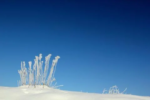 Winter Stock Photos