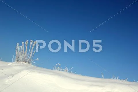 Winter Stock Photos