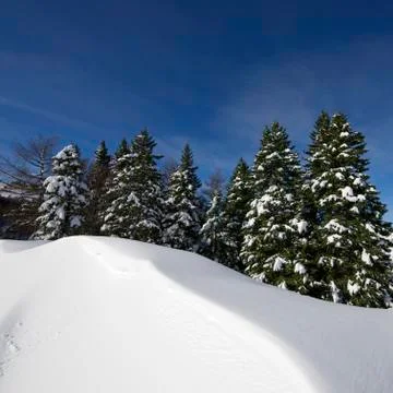 Winter Fotos de archivo