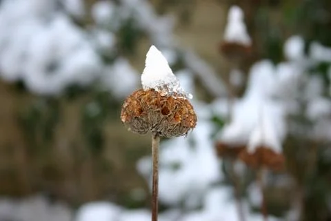 Winter Stock Photos