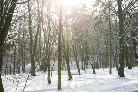 Winter Stock Photos