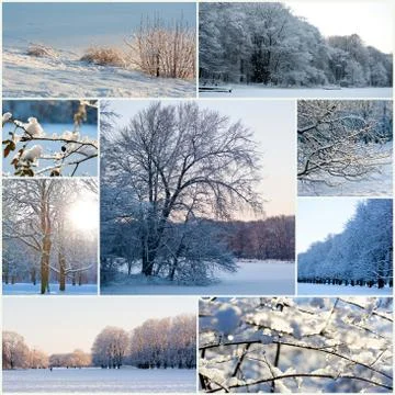 Winter Stock Photos
