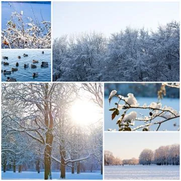 Winter Stock Photos