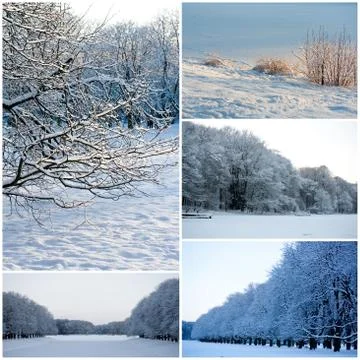 Winter Stock Photos