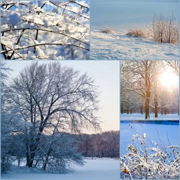 Winter Stock Photos