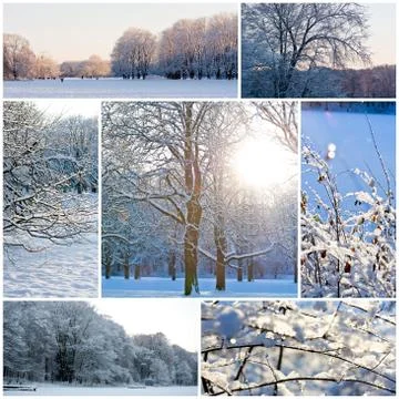 Winter Stock Photos