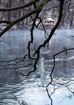 Winter Stock Photos