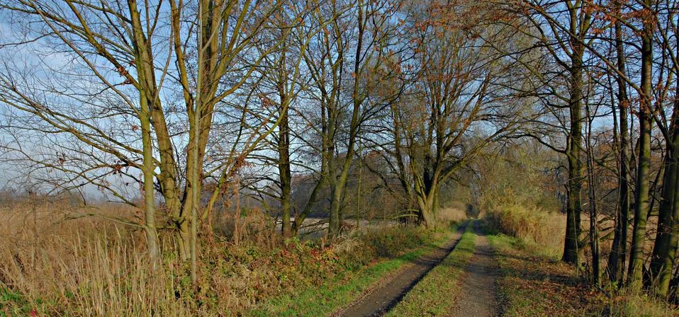 This winter Stock Photos