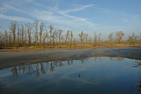 This winter Stock Photos