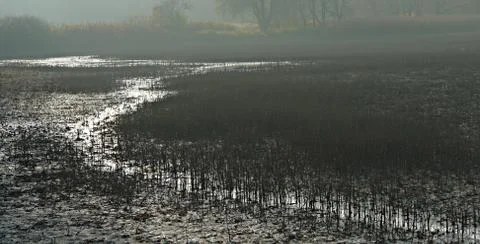 This winter Stock Photos