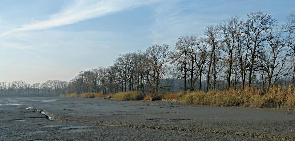 This winter Stock Photos