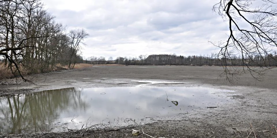This winter Stock Photos