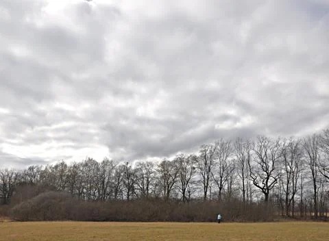 This winter Foto stock