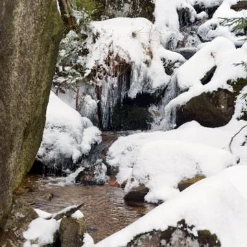 Winter Stock Photos