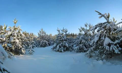 Winter Stock Photos