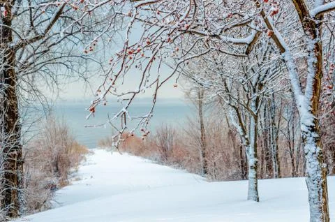 Winter 스톡 사진