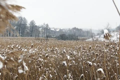 Winter Stock Photos