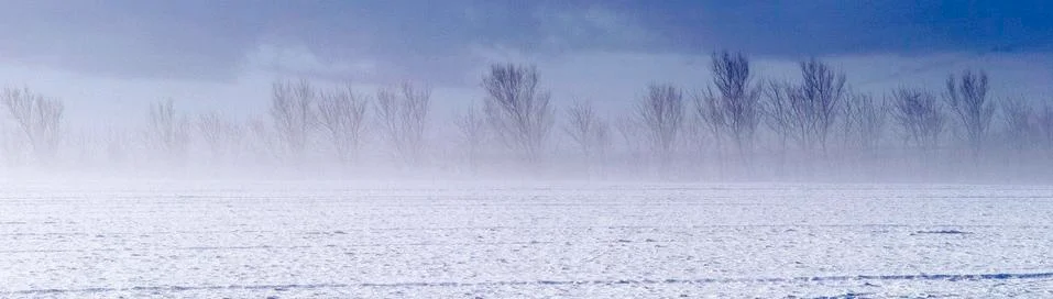 Winter Stock Photos