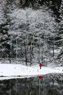 Winter Stock-Fotos