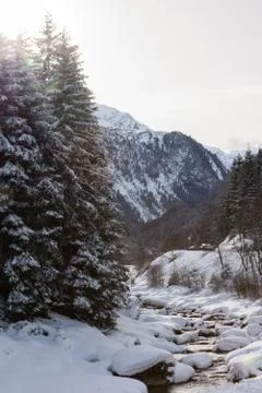 Winter Stock Photos